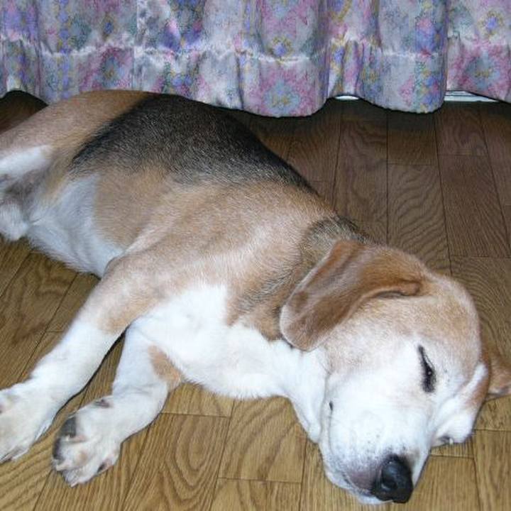 1c1970c9 fdfa 45ed abff b6c2cdde8fa9 1642900751213