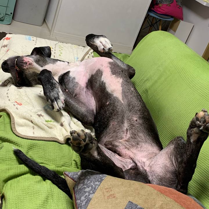 1c19bb19 9013 404d a0d7 66f8d1268ab5 1573251255202