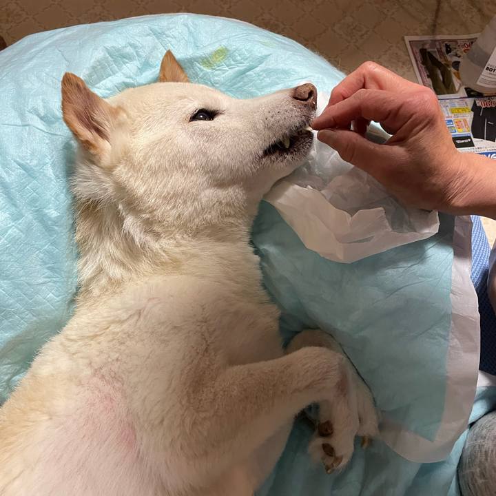 1c19c9c7 1503 4e7d 9e38 e129066e2652 1678800168370