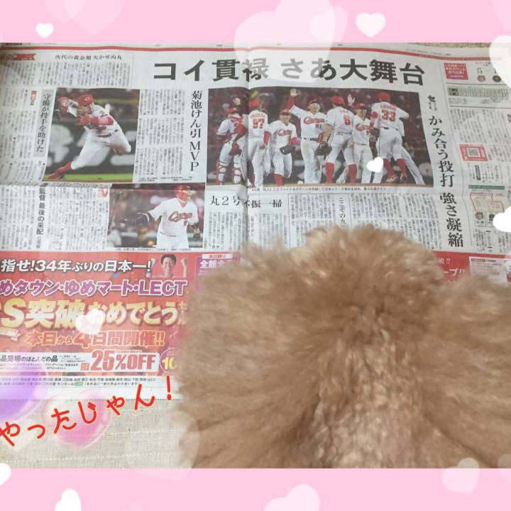 1c1a0e53 caa0 4f94 aadc c1718e3584cf 1539986256469