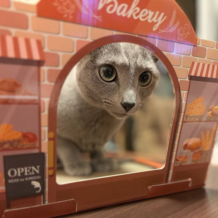 1c1a1b4f 29ae 4ef6 8b71 aa054a3b3920 1738846921695