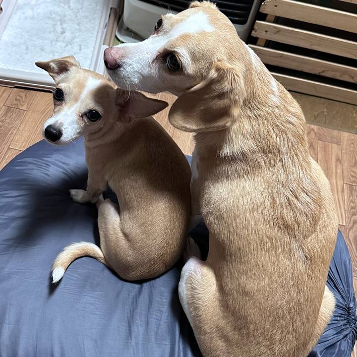 1c1a2747 bc0c 4a67 aabb 931b99cf53a8 1696682870401