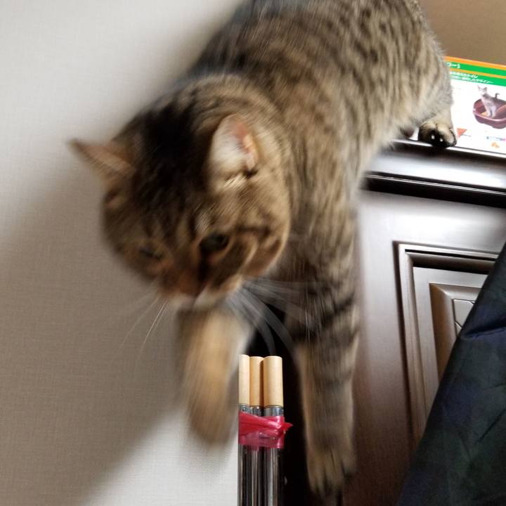 1c1ab66d 9f53 4b0c 967b 714d854f7a91 1601081994328