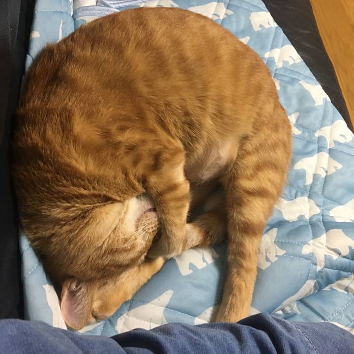 1c1abd83 70c8 4be9 9f36 7741b11c0698 1544249485822