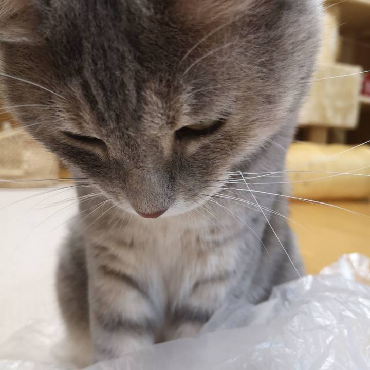 1c1acf5c dfa2 4284 82f3 ad36def2f00d 1563371717777