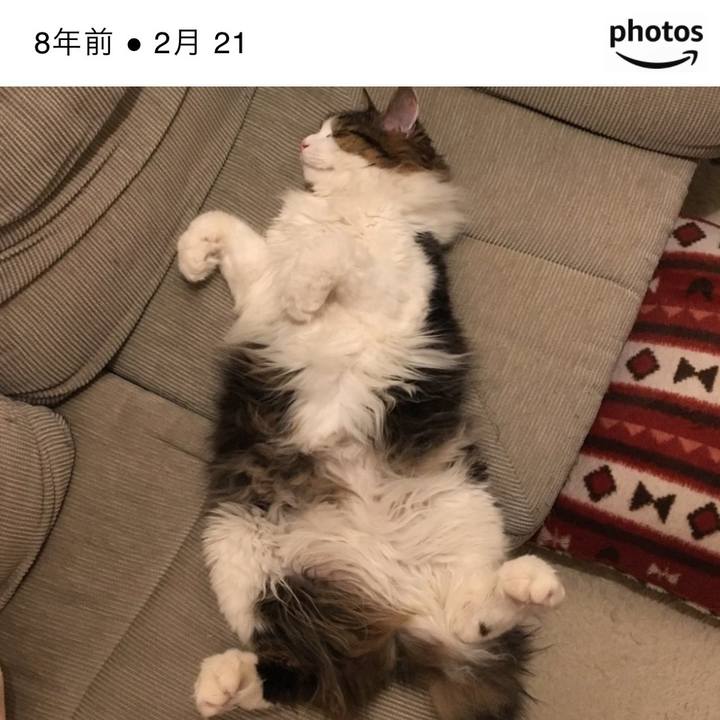 1c1b0075 ad54 460c aa6c c53e9f59af8c 1771639615174