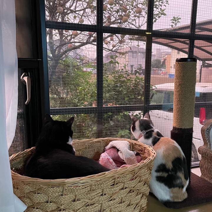 1c1b0ec3 4358 4f22 8255 6454a4713f2b 1699218227882