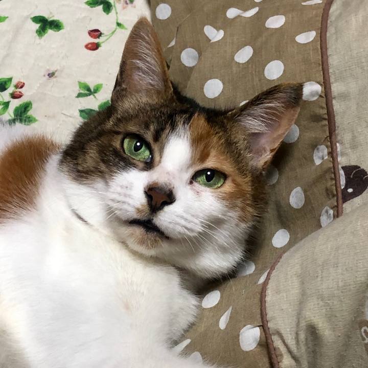 1c1b563c adc9 417a adef 6c28a8a98fa3 1582990255999