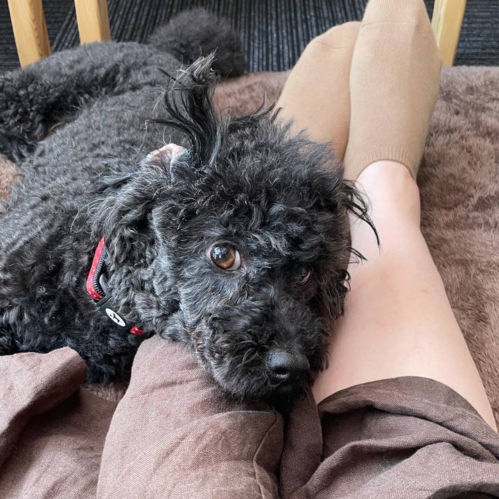 1c1b6bdd 0197 4bcd 996f 065273ca6445 1620107113295