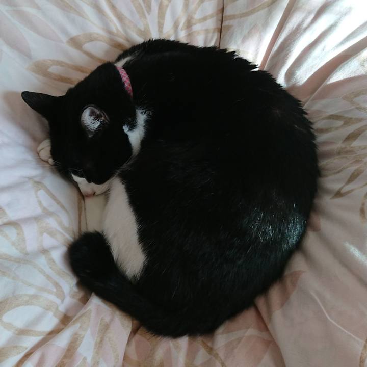 1c1b75c1 7a64 47a3 9bd0 940e13e44c66 1635554494166