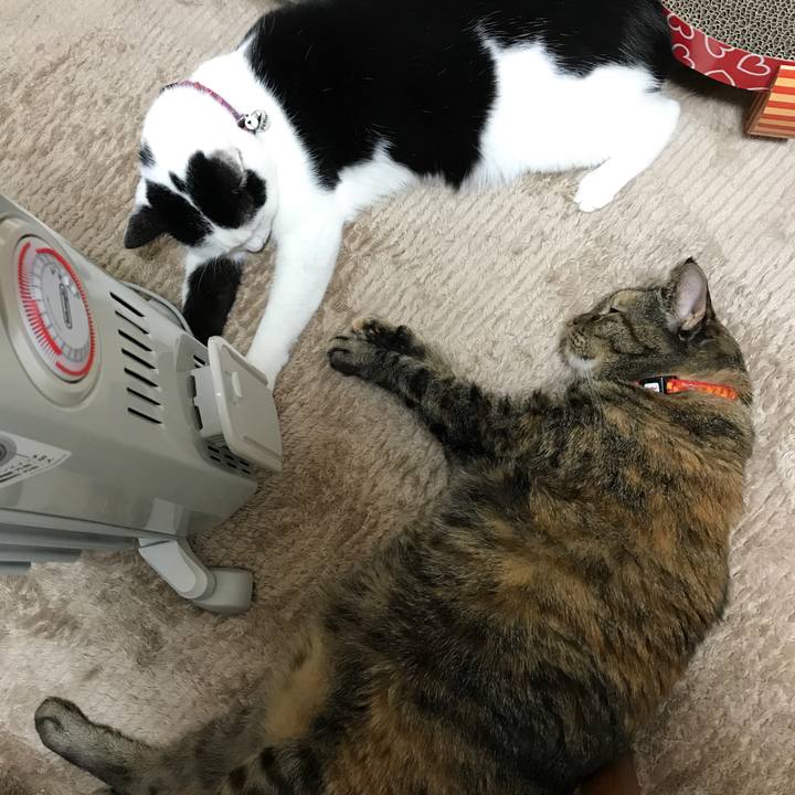 1c1b785c 7ff2 4d51 a95e a1ada74a1e48 1515679686493