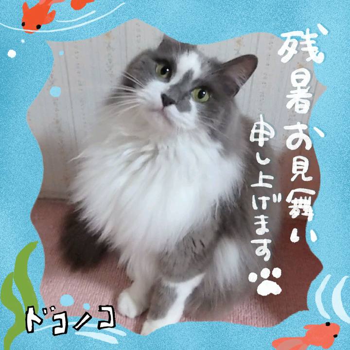 1c1ba026 093a 47cf be65 76716d021d69 1723409744713