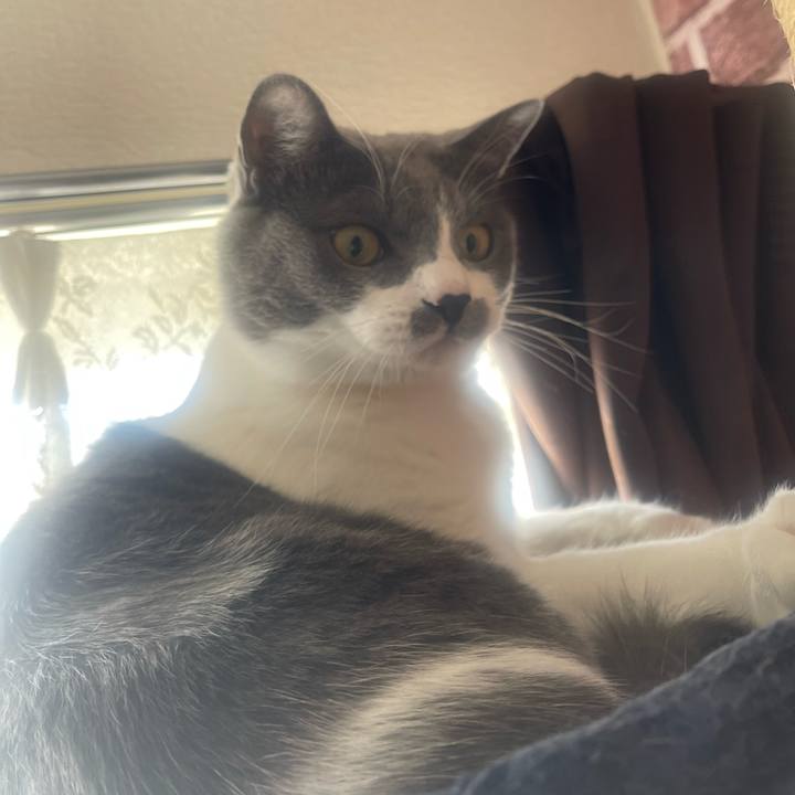 1c1bb3cc 9eb1 423f 8354 3bf6a281ab09 1701045268592