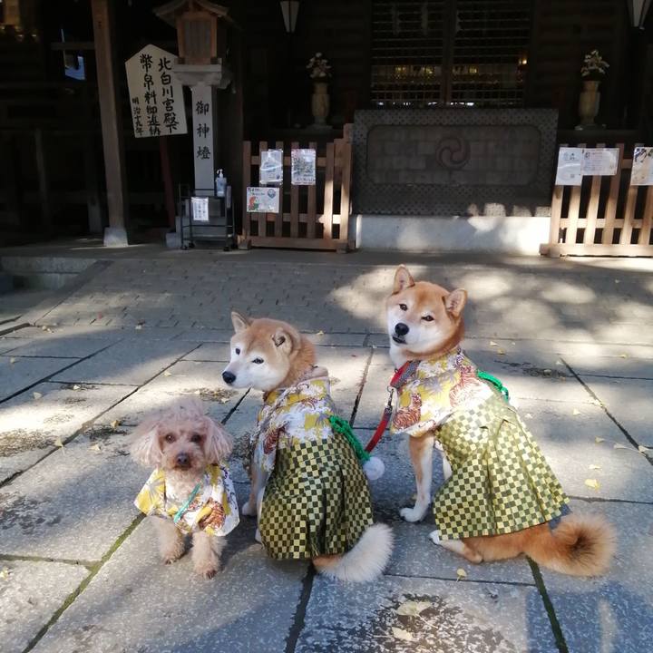 1c1bd692 fbae 42a8 b5db bb431c9ddbad 1639054172188