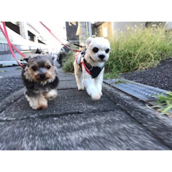 1c1bfdc4 809d 4c22 9fe3 da5eafabcb61 1568973601690