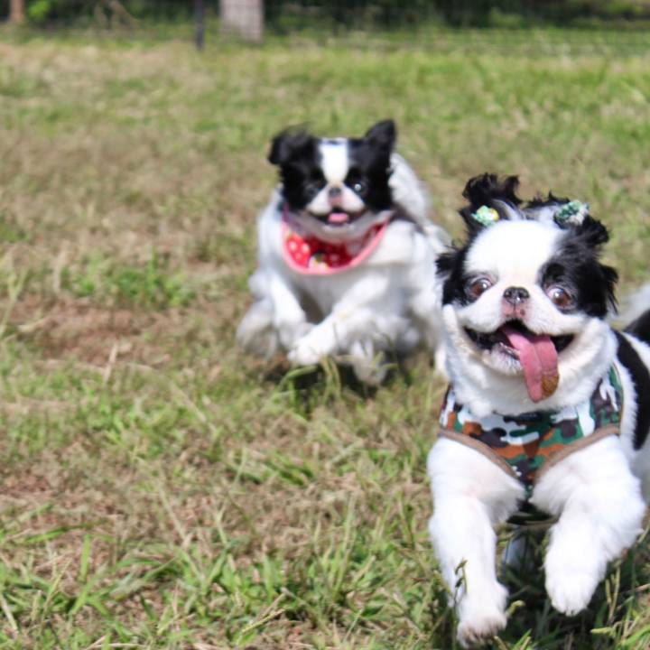 1c1c4da6 1de7 4c05 b455 46a25e977880 1723494877995