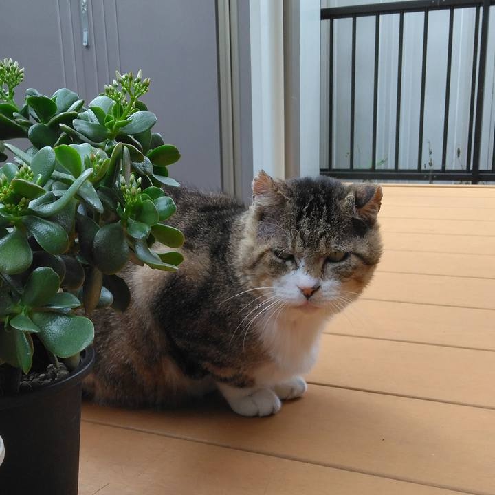 1c1c70c1 da0d 498b bd8e ab1ac51231e8 1763022034839