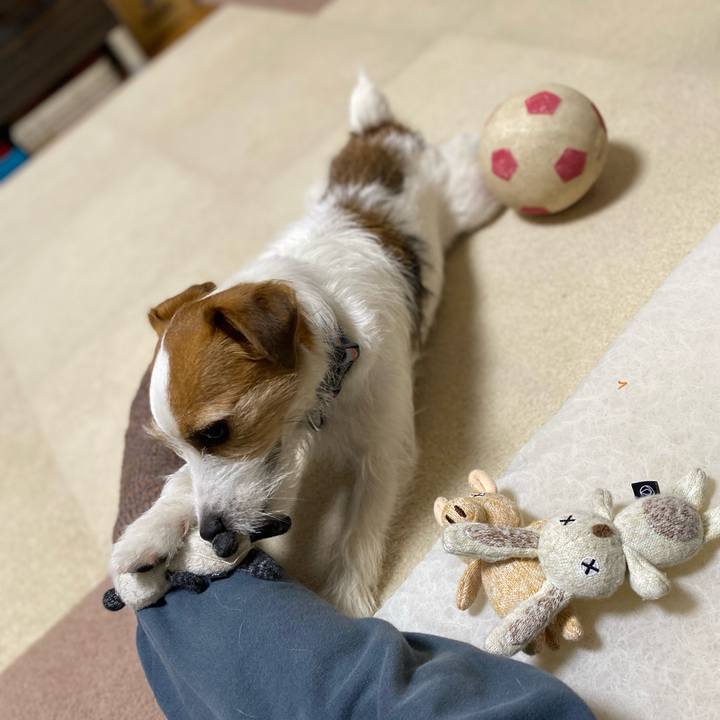 1c1ca05d 54ec 4e71 ae68 a579c1fdf485 1741704003600