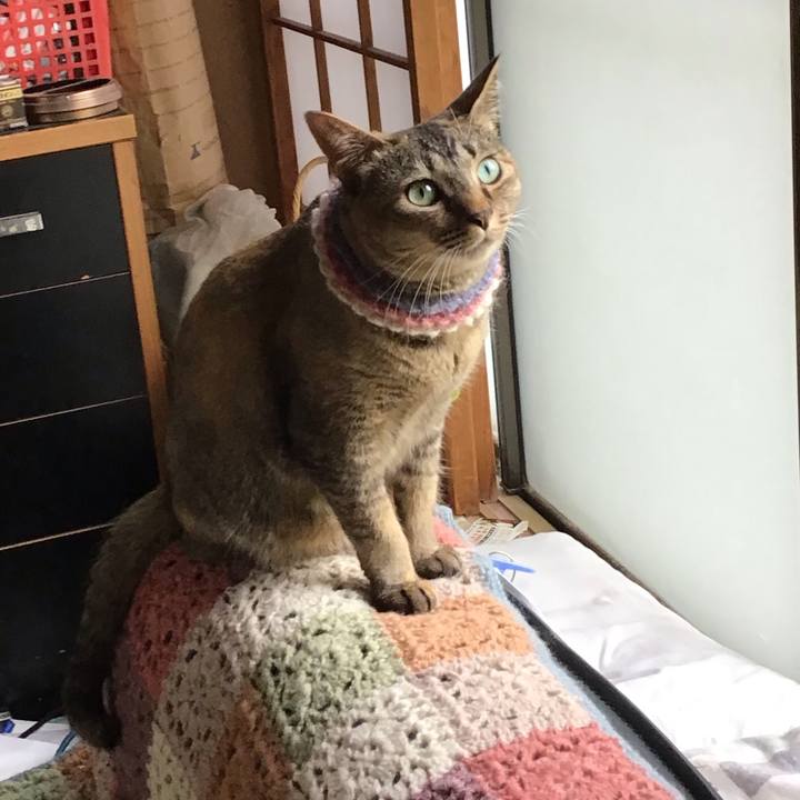 1c1cce1d ef9e 4a40 93af d179ae0b6da2 1624694821176