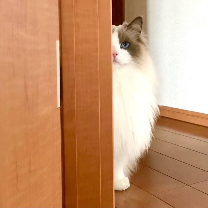 1c1d13df dc84 4a9d af64 4033dad11954 1620079582067