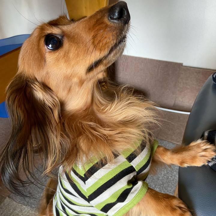 1c1d20d7 86c1 4720 a382 d4c1ccae1749 1643161379589