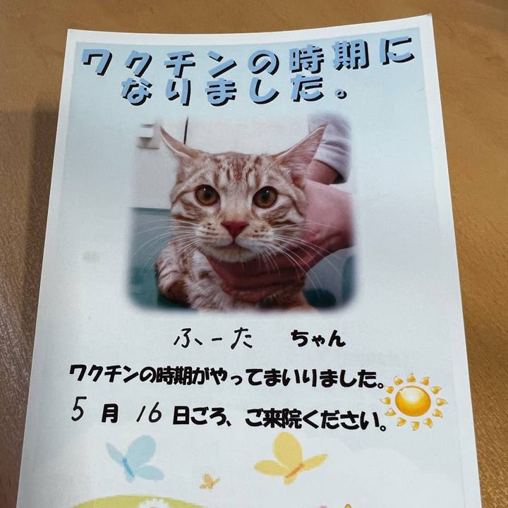 1c1d2618 695a 4d09 918f a455e3dd2ef7 1715124477205