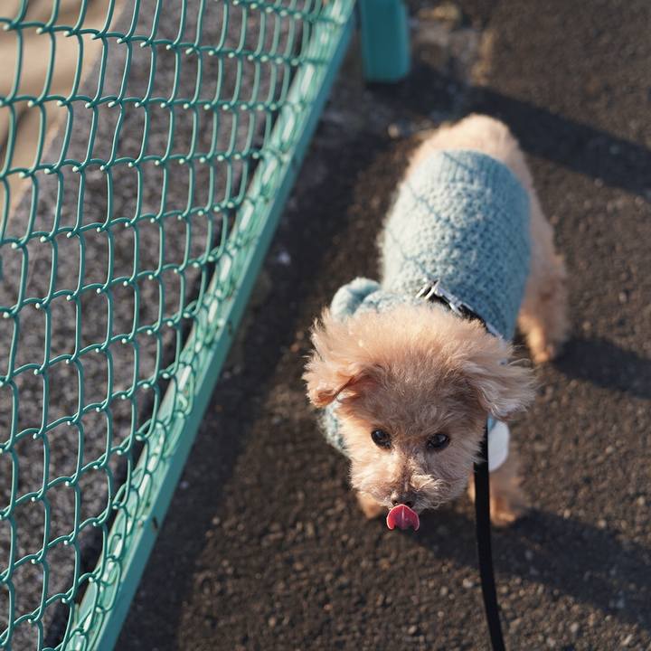 1c1d589c 0039 4487 9ad5 eae0ce39b46d 1697114319094