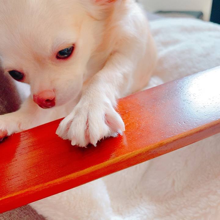 1c1d7391 468c 4456 9656 3bc884e0cbb7 1631079030679