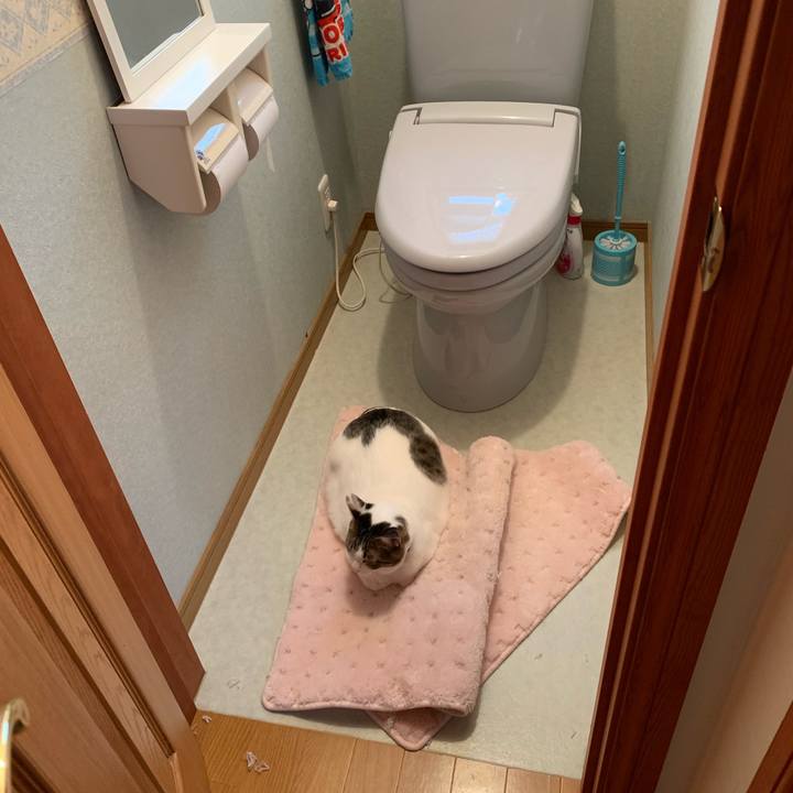 1c1de2ec f05b 4243 937f 54a1fbf9ad55 1557129604012