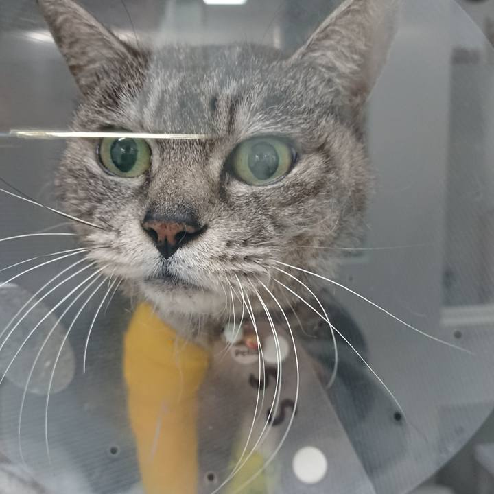 1c1de626 e3af 4b24 ae84 ec98a0594bcd 1585817920677