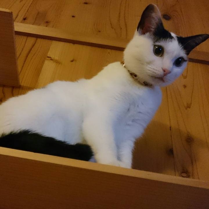 1c1e2e88 b703 41c1 bc03 cf3a0b673d96 1512302161101