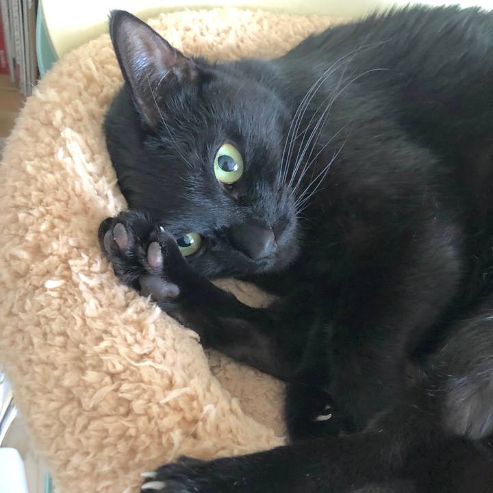 1c1e74fd 5d98 453a 85bb c853fb9956d8 1555071779802