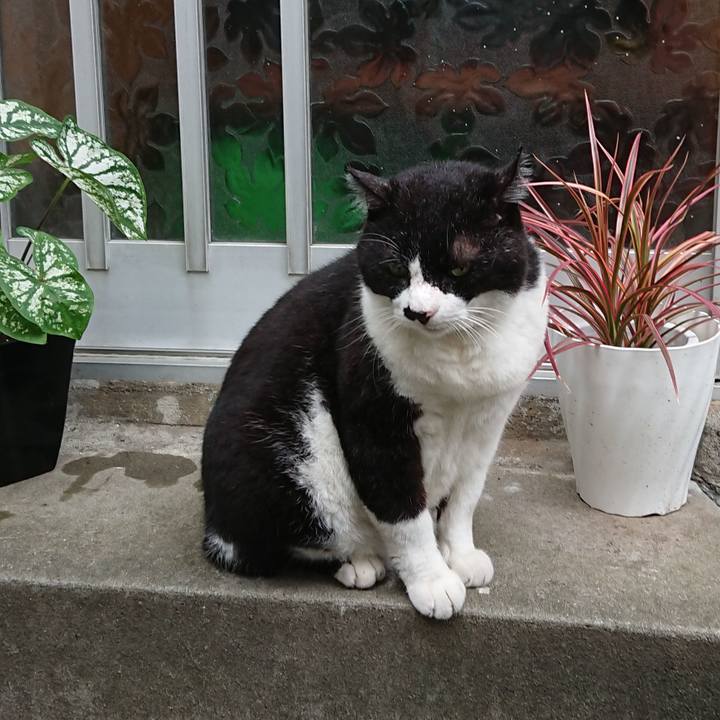 1c1e7d43 772d 45c5 b514 446ad2a04989 1628810761379