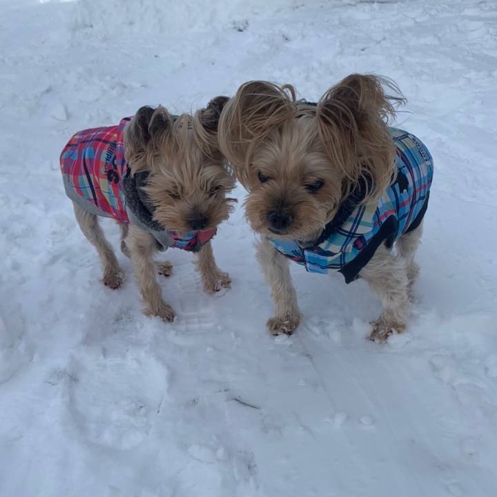 1c1ea371 7bcc 47bd 8991 7df26db94125 1670407661207