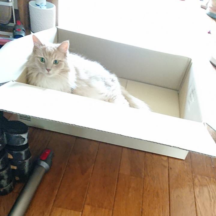 1c1eb7c7 53c8 4049 9dfc 96179439f463 1532493525624