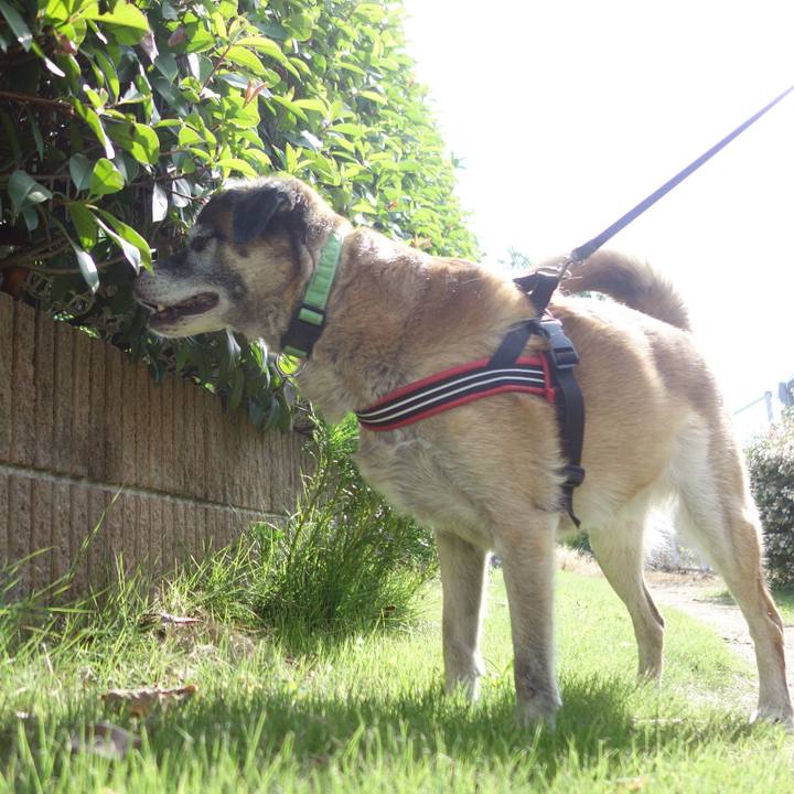 1c1ed3a4 f7b8 4b26 8246 ba52747246e2 1645148169029