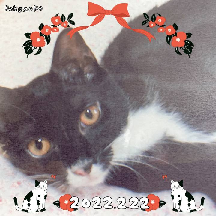 1c1ef8e4 1e90 49c5 bd4b cbc38e38839b 1645531467182