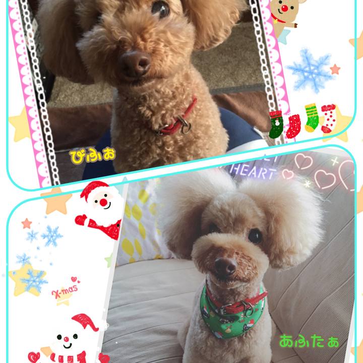 1c1f00a9 17cf 4dbe 8cd1 61b0f8f7c59b 1513836743754