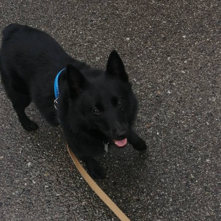 1c1f0326 390e 4989 8f8c 6aba32028804 1629322644295