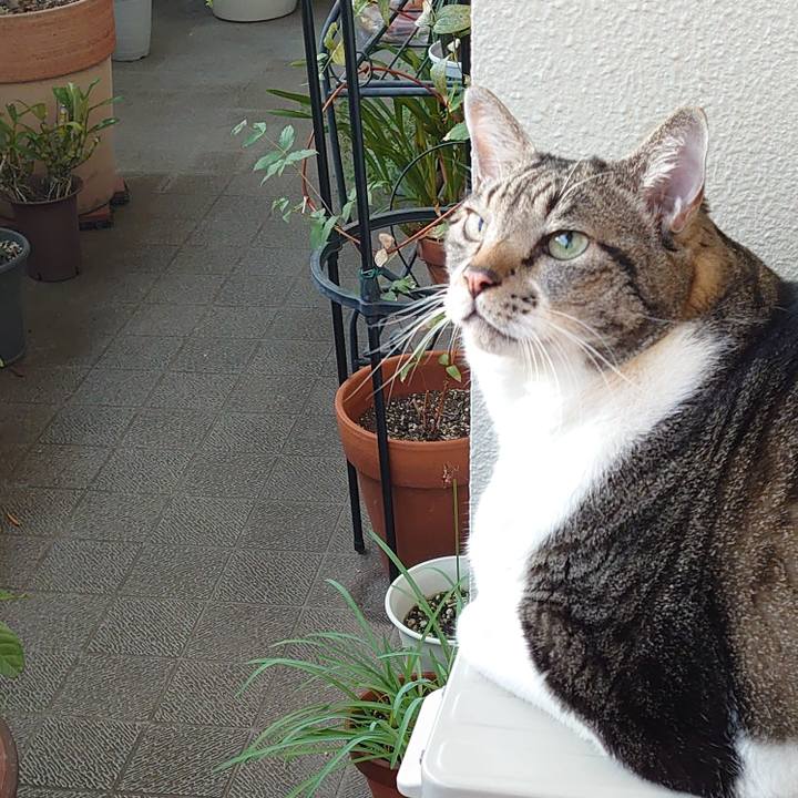 1c1f1291 ec60 474b adbf 8263b730e089 1634768888566