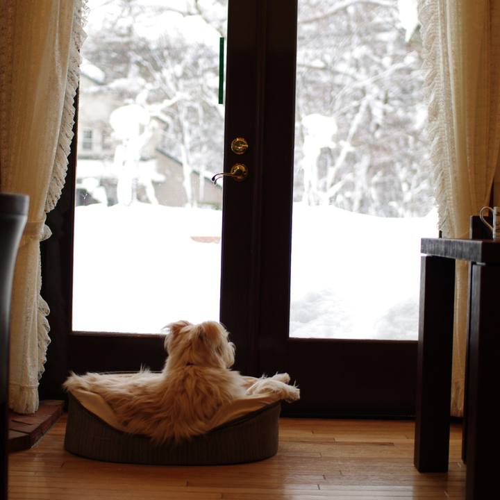 1c1f45f7 083e 41c7 9c9c b22e65e1e837 1612713856797