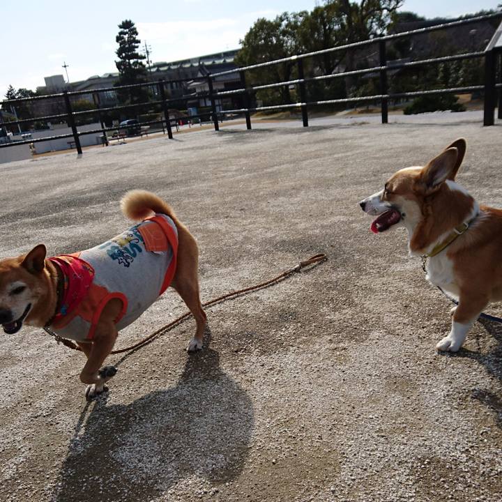 1c1f480f 5c6c 4ad4 ae93 f9ccc9382dbe 1581938900201