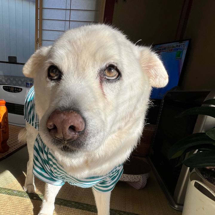 1c1f56e6 2d3c 426d 890d f5f5fca60a1e 1766967964205