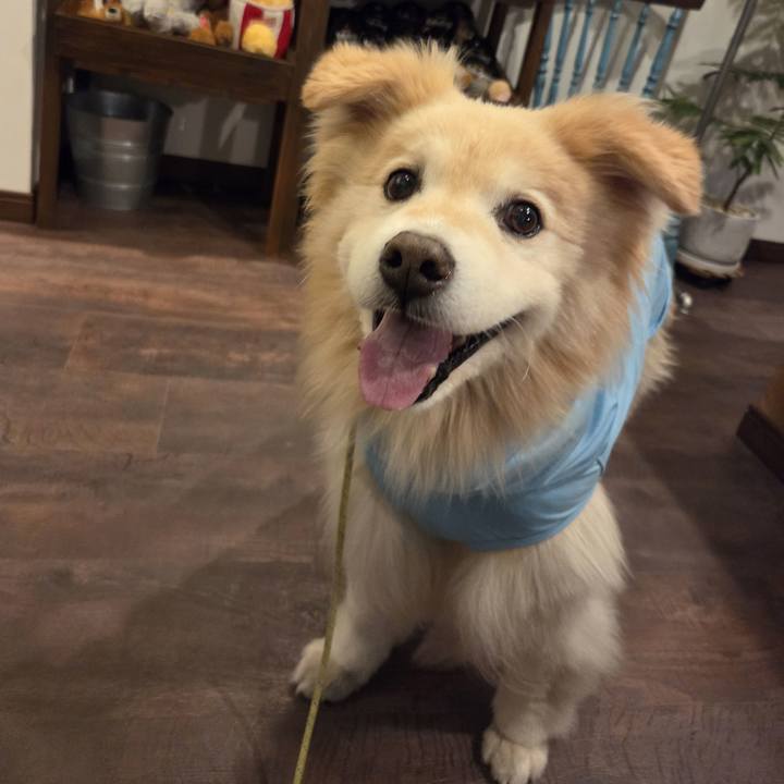 1c1f71be d2fc 4142 b88b 0ae835b29b34 1756008166863