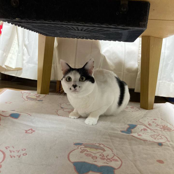 1c1f74e8 3d65 4507 a09e fad884674fa9 1763237287821