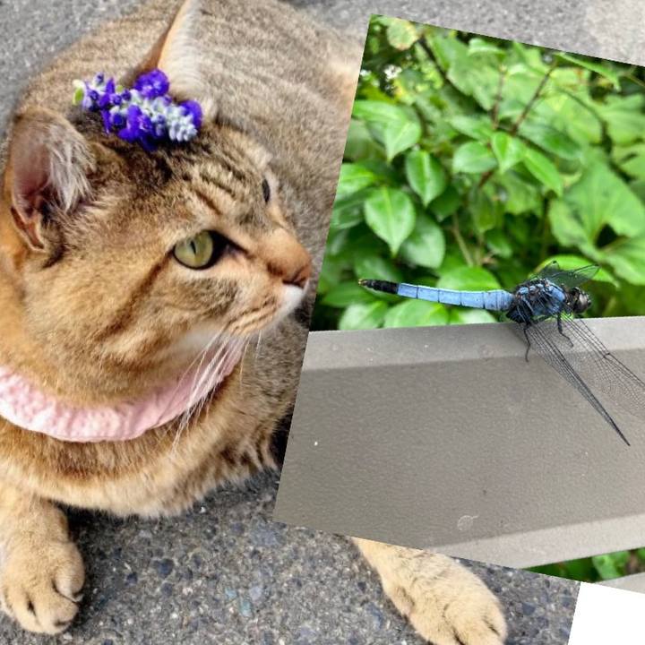 1c1fc339 51c3 471f 82be 0eade0cedfda 1719885284607