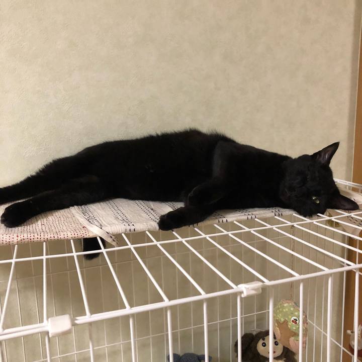 1c1fc40c 1f88 4d67 a303 521fffba94de 1531656726011