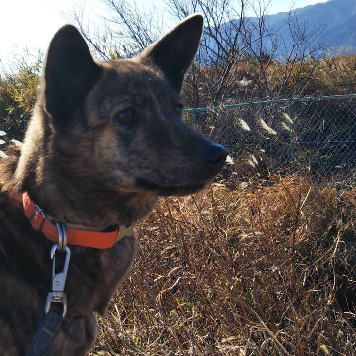 1c1fcb57 ab45 4a2f aba6 f99ea773e148 1579315926627