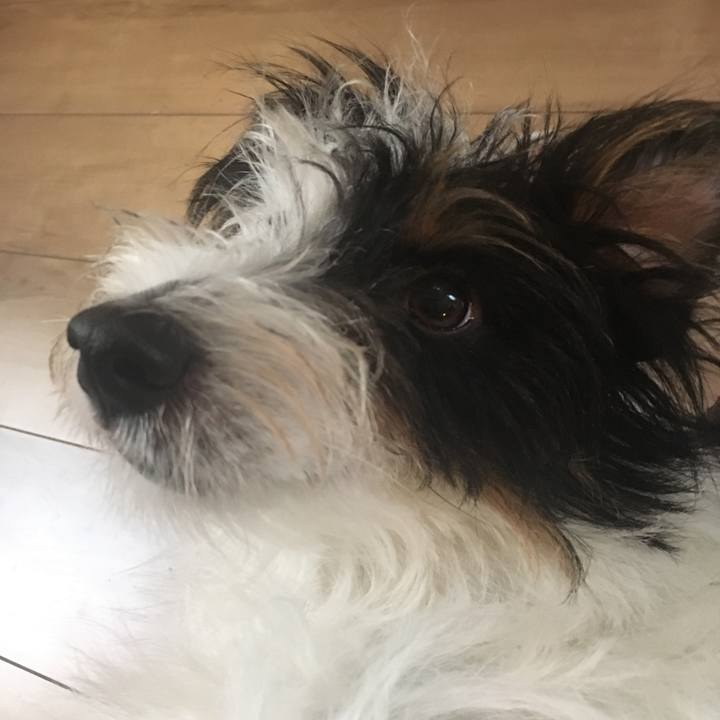 1c202865 b210 4436 b4db d8986fb2a3d9 1509487710497