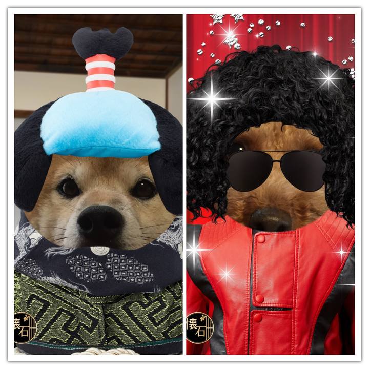 1c2052c8 10e8 451c 922a 30112ed3635e 1509156670268